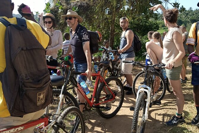 Half-Day Scenic Bike Tour - Three Coastal Areas: Beach to Palm Forest to Semi-Arid Views