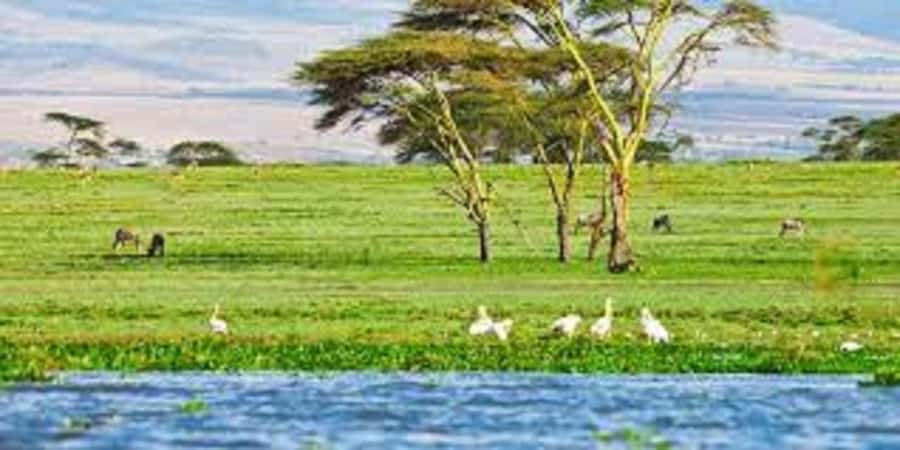 HELL'S GATE AND LAKE NAIVASHA BOAT RIDE FROM NAIROBI. - Final decision: should you book Hell’s Gate and Lake Naivasha?