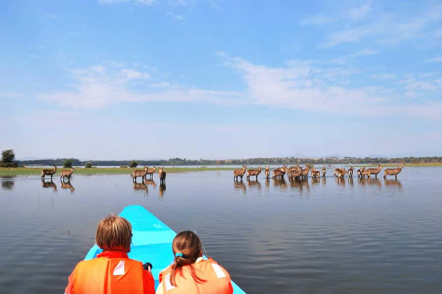 Hell's Gate and Lake Naivasha Guided Day Trip - Key Things to Know Before You Go