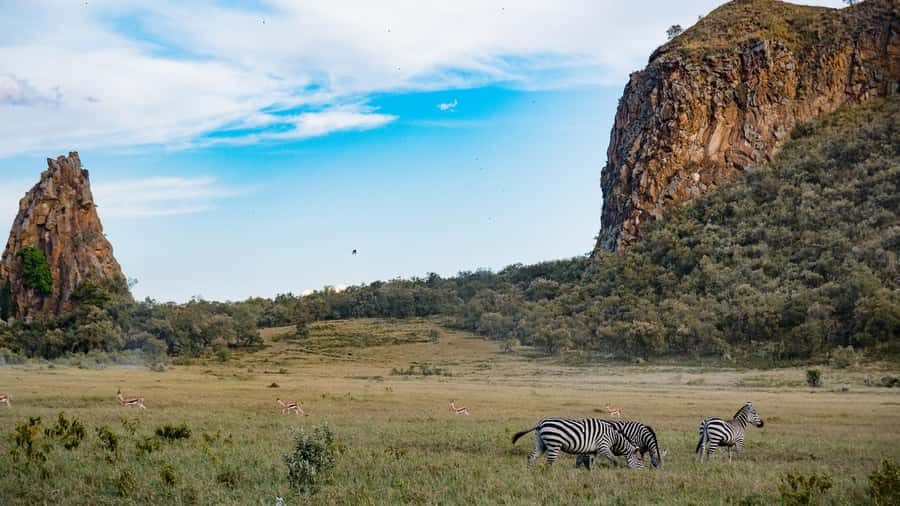 Hell's Gate & Lake Naivasha: Bike Tour, Hike & Boat Ride - Key things to know before you go