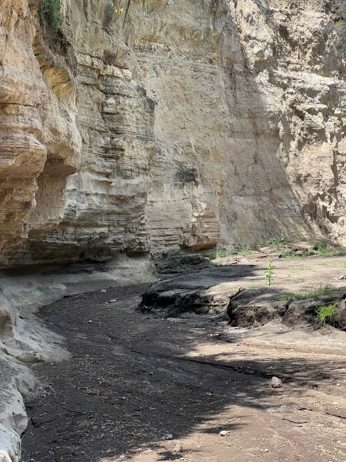 Hell's Gate & Lake Naivasha: Bike Tour, Hike & Boat Ride - Lake Naivasha boat ride, hippos and birds without the safari van