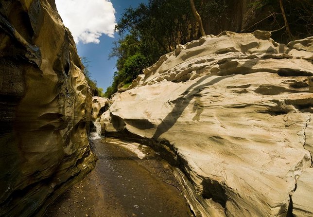 Hell's Gate National Park Private Bike Tour from Nairobi - Key highlights worth waking up for