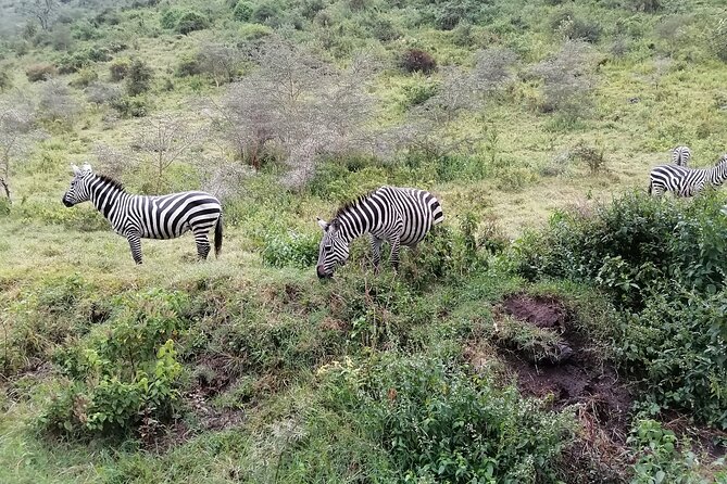 Hell's Gate National Park Private Bike Tour from Nairobi - Maasai community visit: cultural stop without rushing it