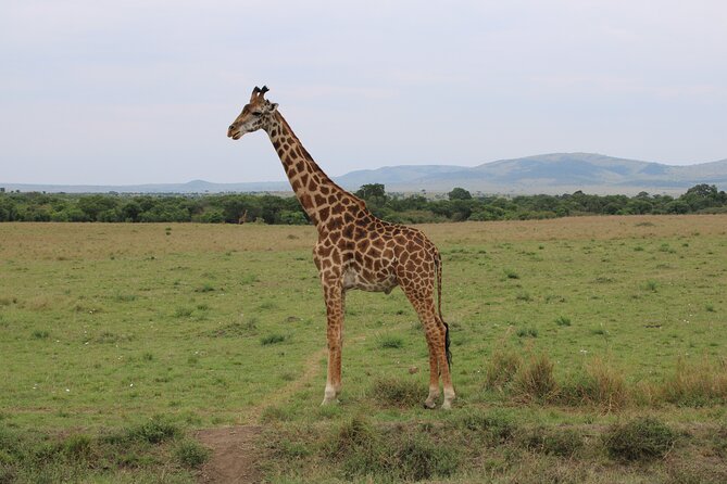 Hell's Gate National Park Private Bike Tour from Nairobi - Price and value: what your $125 includes, and what costs extra