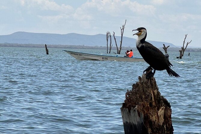 Hell's Gate Park and Lake Naivasha Day Tour - The Biking Safari at Hell’s Gate: 3 Hours, About 8 Kilometers, Real Park Pace