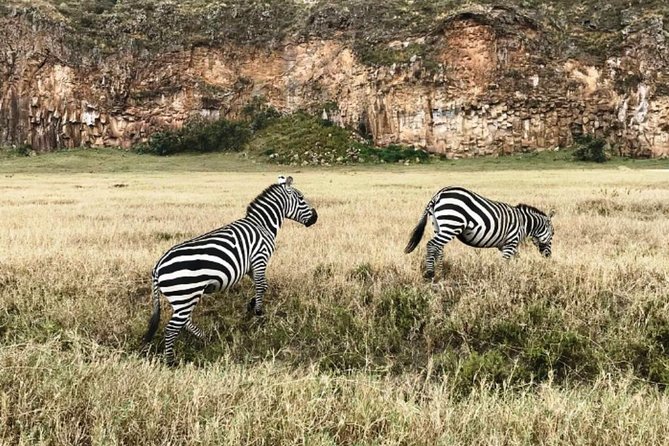 Hells Gate Excursion in Naivasha - Wildlife Spotting That Feels Real, Not Forced