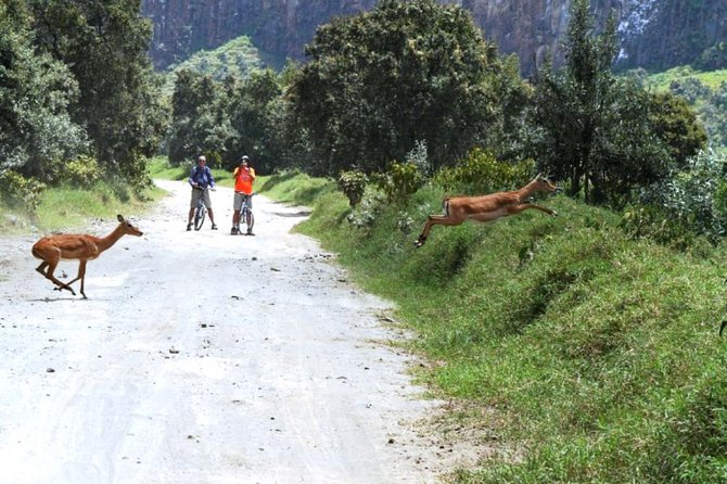 Hells Gate Excursion in Naivasha - Guide Quality: Moses, Mwose, and Obed Know How to Keep It Fun and Safe