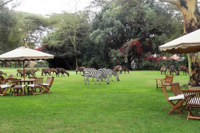 Hells Gate Excursion in Naivasha - Price and Value: What You’re Paying for at $95 per Person