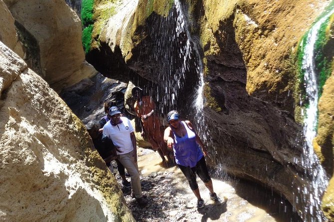 Hells Gate National Park Day Trip - In the park, you choose walk, cycle, or drive next to wildlife