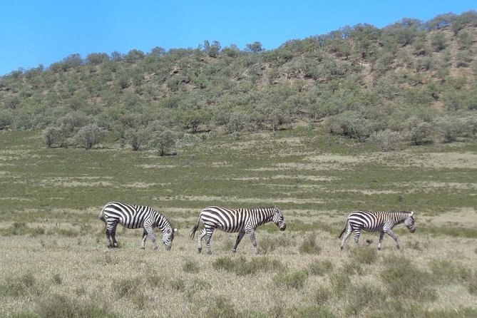 Hells Gate National Park Day Trip - Pricing and value: what $165 covers, and what to budget for
