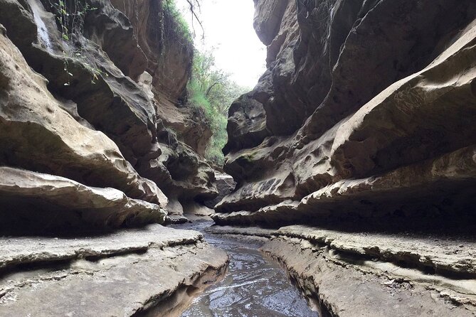 Hells Gate National Park & Lake Naivasha Day Trip from Nairobi - From Nairobi to the Rift Valley, what you are really buying