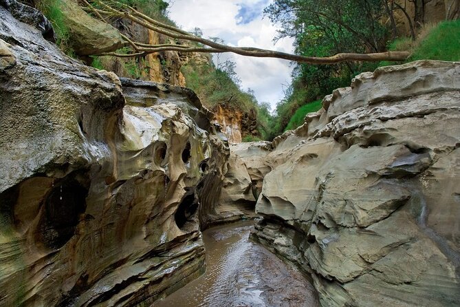 Hells Gate National Park & Lake Naivasha Day Trip from Nairobi - Entering Hells Gate National Park, game drive or get on a bike