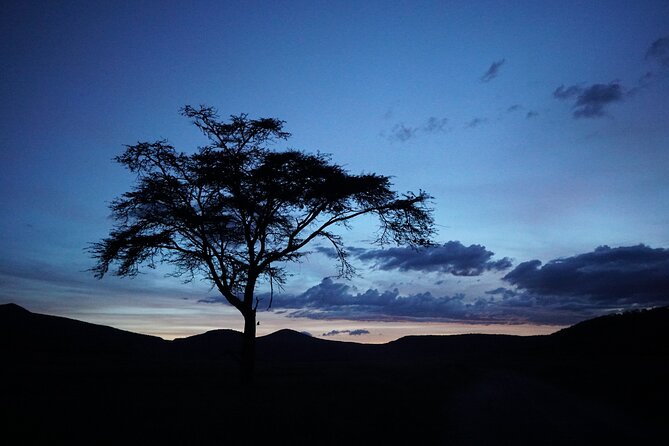 Hells Gate with Hiking Biking Climbing and Camping in Kenya - Why Hells Gate feels different than a typical safari day