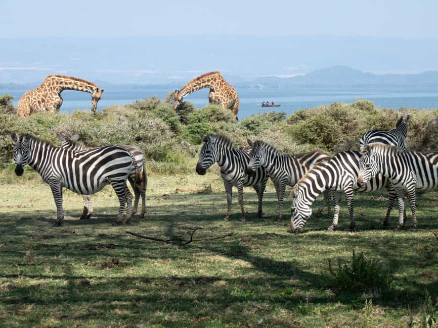 Hellsgate and Lake Naivasha Day Trip from Nairobi - Why the cliffs, gorges, and geothermal hot springs are more than photos