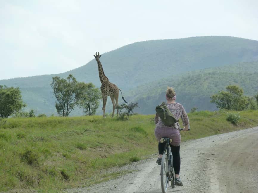 Hellsgate and Lake Naivasha Day Trip from Nairobi - Lunch on your own: keep it flexible so you don’t lose time