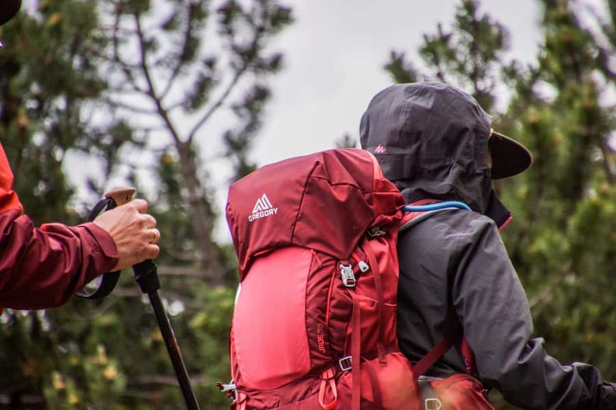 Hike in The Karura Forest - Key things to know before you go