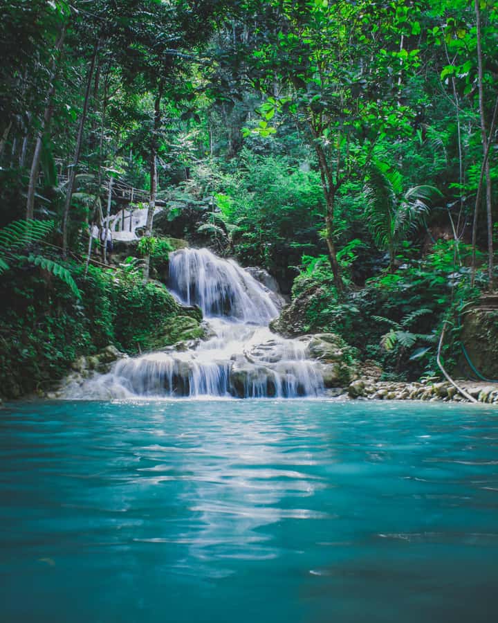 Hike in The Karura Forest - Karura Forest in Nairobi, why this city hike feels different