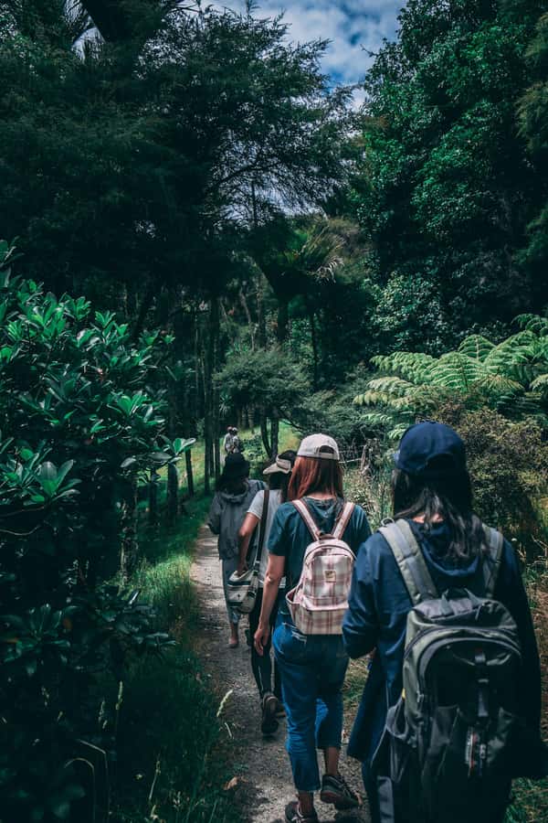 Hike in The Karura Forest - The 4-hour plan: what happens from meeting point to return