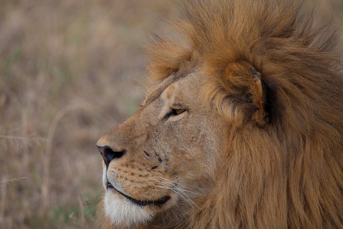 Introducing Kenya Safari Package - Travel For Change Africa, Patricia, and the communication that saves headaches