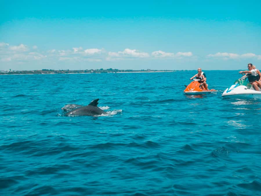 Jet Ski Dolphin Safari - Choosing a route near the marine park for better dolphin odds