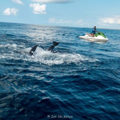 Jet Ski Dolphin Safari