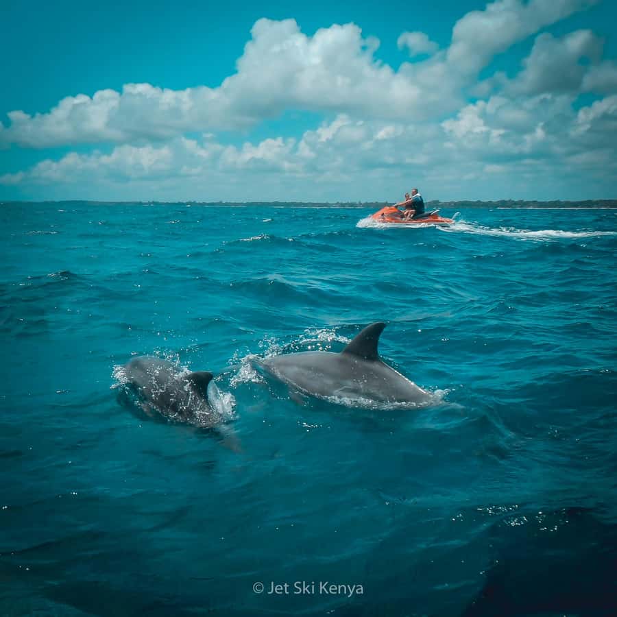 Jet Ski Dolphin Safari - Weather is the wild card in Diani, and the operator’s response matters