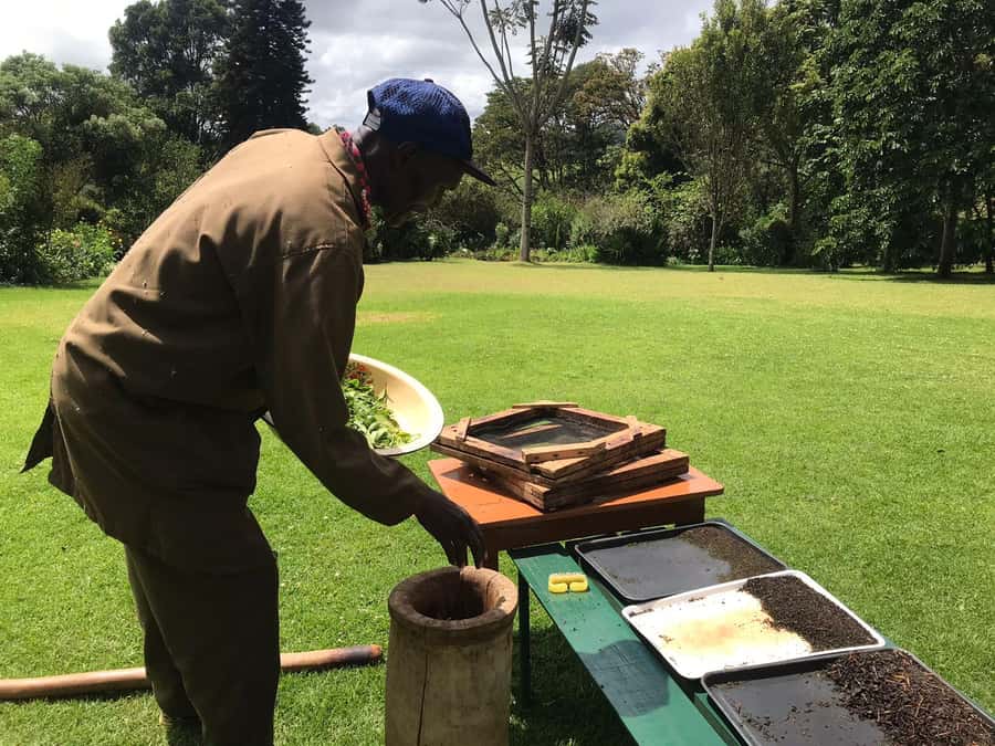 Kaimbethu tea farm tour and lunch package - Key points to know before you go