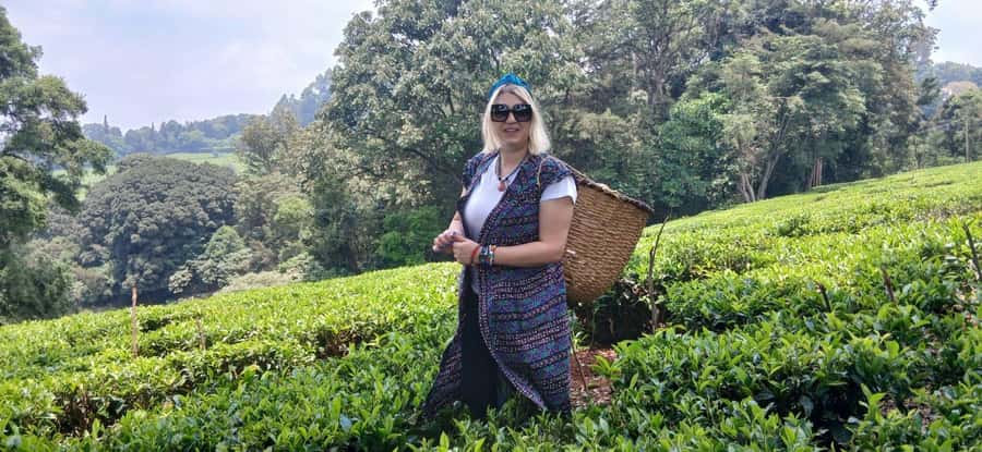 Kaimbethu tea farm tour and lunch package - Tea near Nairobi, but with real nature time