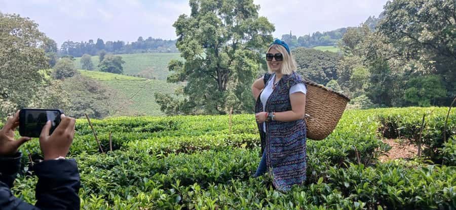 Kaimbethu tea farm tour and lunch package - Arriving at Kiambethu: welcome tea and a family-style story