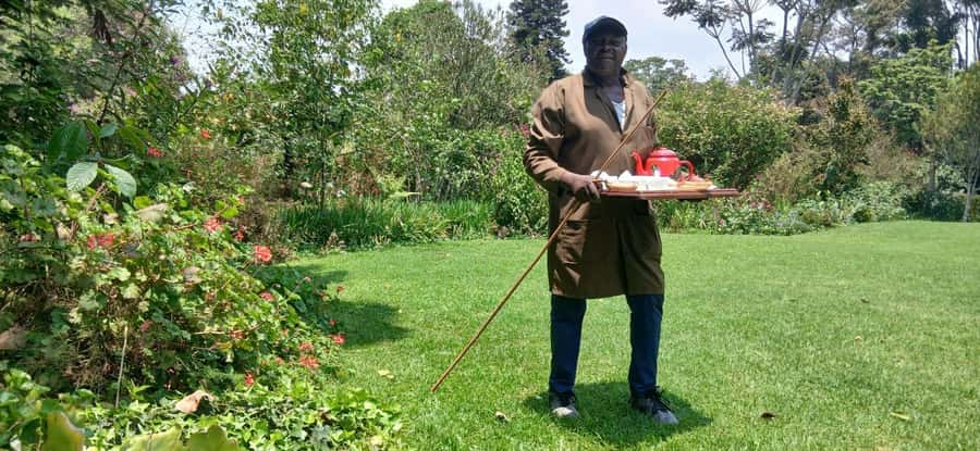 Kaimbethu tea farm tour and lunch package - The plantation walk: tea picking and how processing really works