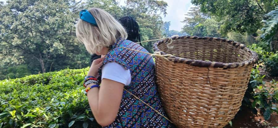 Kaimbethu tea farm tour and lunch package - Ngong Hills views, and the Kilimanjaro question