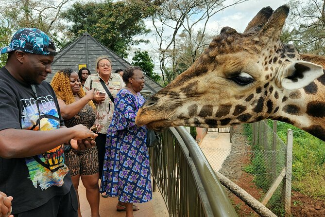 Karen Blixen Museum, Beads craft and Giraffe Day tour - Price and value: is $90 a fair deal?