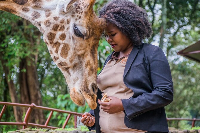 Karen Blixen Museum & Giraffe Centre Half day tour - Giraffe Centre: conservation education plus a real up-close moment