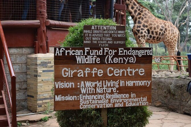 Karen Blixen Museum & Giraffe Centre Half day tour - Price and value: what $98.16 really covers, and what to plan for