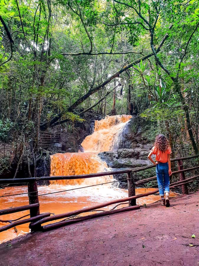 Karura forest A walking tour from Nairobi - Waterfalls and the walk to Karura Falls