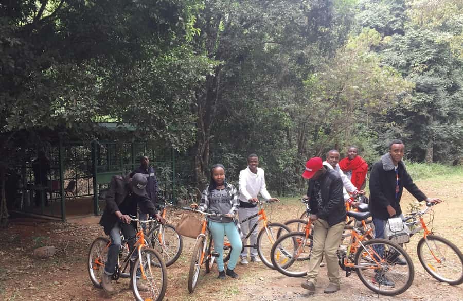 Karura forest A walking tour from Nairobi - Your free time: walking, relaxing, and bike breaks