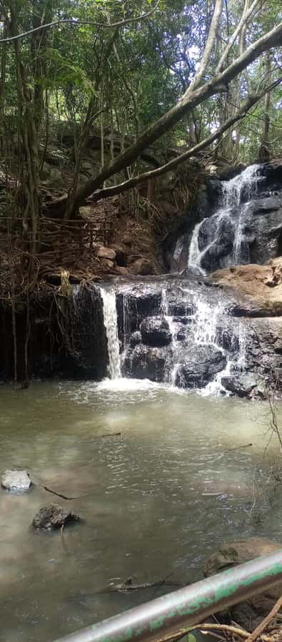Karura forest: A walking tour into Nairobi's Nature Oasis - Karura Waterfalls: The Soundtrack That Makes the Forest Feel Alive
