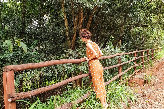 Karura Forest Hiking and Bike Tour - Key Highlights You’ll Actually Feel