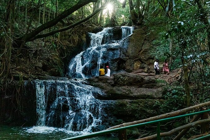 Karura Forest Hiking and Bike Tour - 9AM Pickup to Forest Start: The Pace Is Built for a Half Day