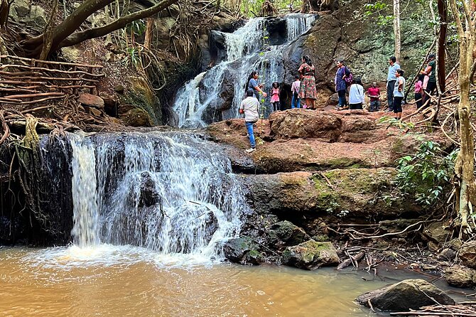 Karura Forest Nature Trail - Key highlights you should not skip