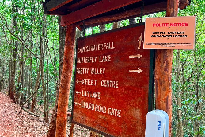 Karura Forest Nature Trail - Stop 1 in Karura Forest: trees, water, caves, and monkey sightings