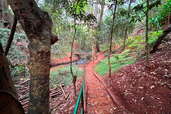 Karura Forest Nature Trail - Trails from 5 km to 15 km: choose your workout level