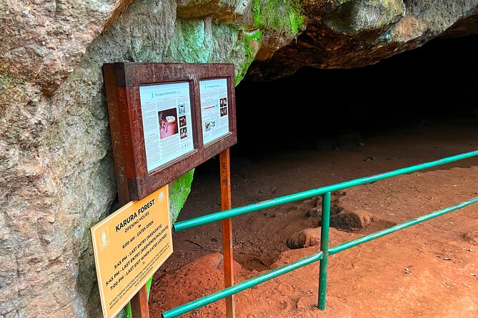 Karura Forest Nature Trail - What to pack so the forest feels easy, not annoying