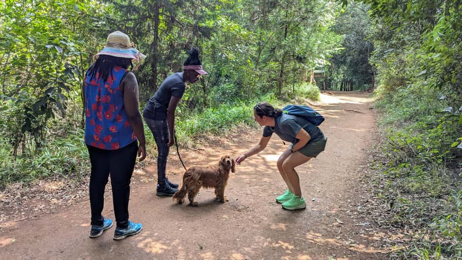 Karura Forest: Walking tour with Nature and Waterfalls. - Karura Forest feels like Nairobi’s natural reset
