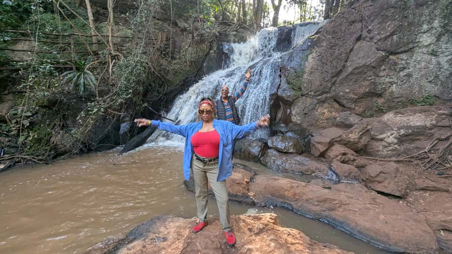 Karura Forest: Walking tour with Nature and Waterfalls. - Woodland trails and the monkey lessons that change how you look