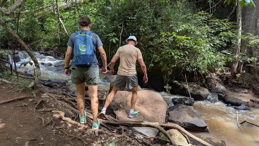 Karura Forest: Walking tour with Nature and Waterfalls. - Price and value, plus what you still pay separately