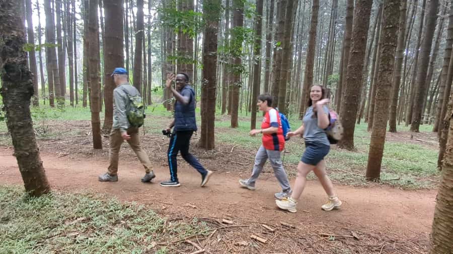 Karura Forest: Walking tour with Nature and Waterfalls. - Getting to Gate C on Kiambu Road without stress