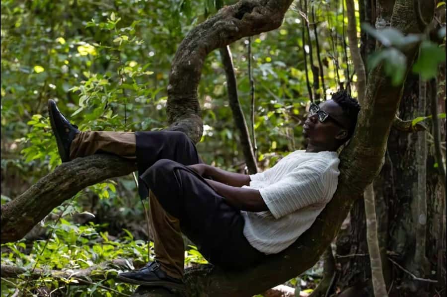 Kaya Kinondo Sacred Forest Guided Tour - Kaya Kinondo Sacred Forest, and why the forest feels different