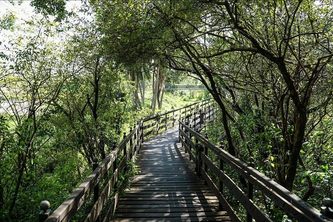 Keekorok Lodge 3 Days, 2 Nights Maasai Mara Offer - Nairobi to Maasai Mara: the early start that sets the tone