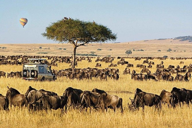 Keekorok Lodge 3 Days, 2 Nights Maasai Mara Offer - Optional Masai village visit: culture without rushing your safari